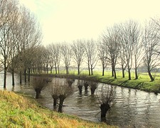 IMG_4823