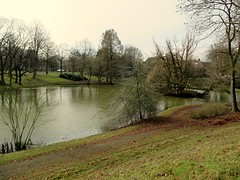 IMG_4832