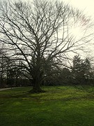 IMG_4833