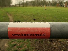 IMG_4846