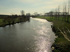 IMG_4877