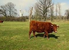 IMG_4883