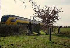 IMG_4921