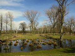 IMG_4923