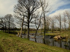 IMG_4924