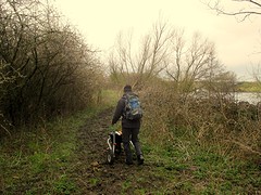IMG_4934