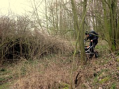 IMG_4938