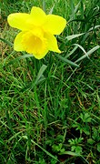 IMG_4945