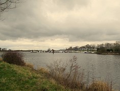IMG_4960