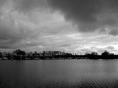 IMG_4963 ZW