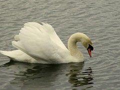 IMG_4992