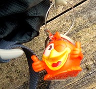 IMG_4995