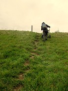 IMG_5010