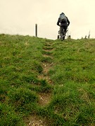 IMG_5011