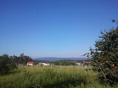 2016-06-25 09.31.35 (1)