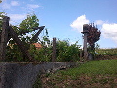 2016-06-25 14.26.52 (2)