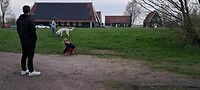 Dag 2, Kollumeroord