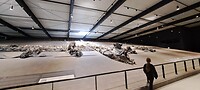 1000011339