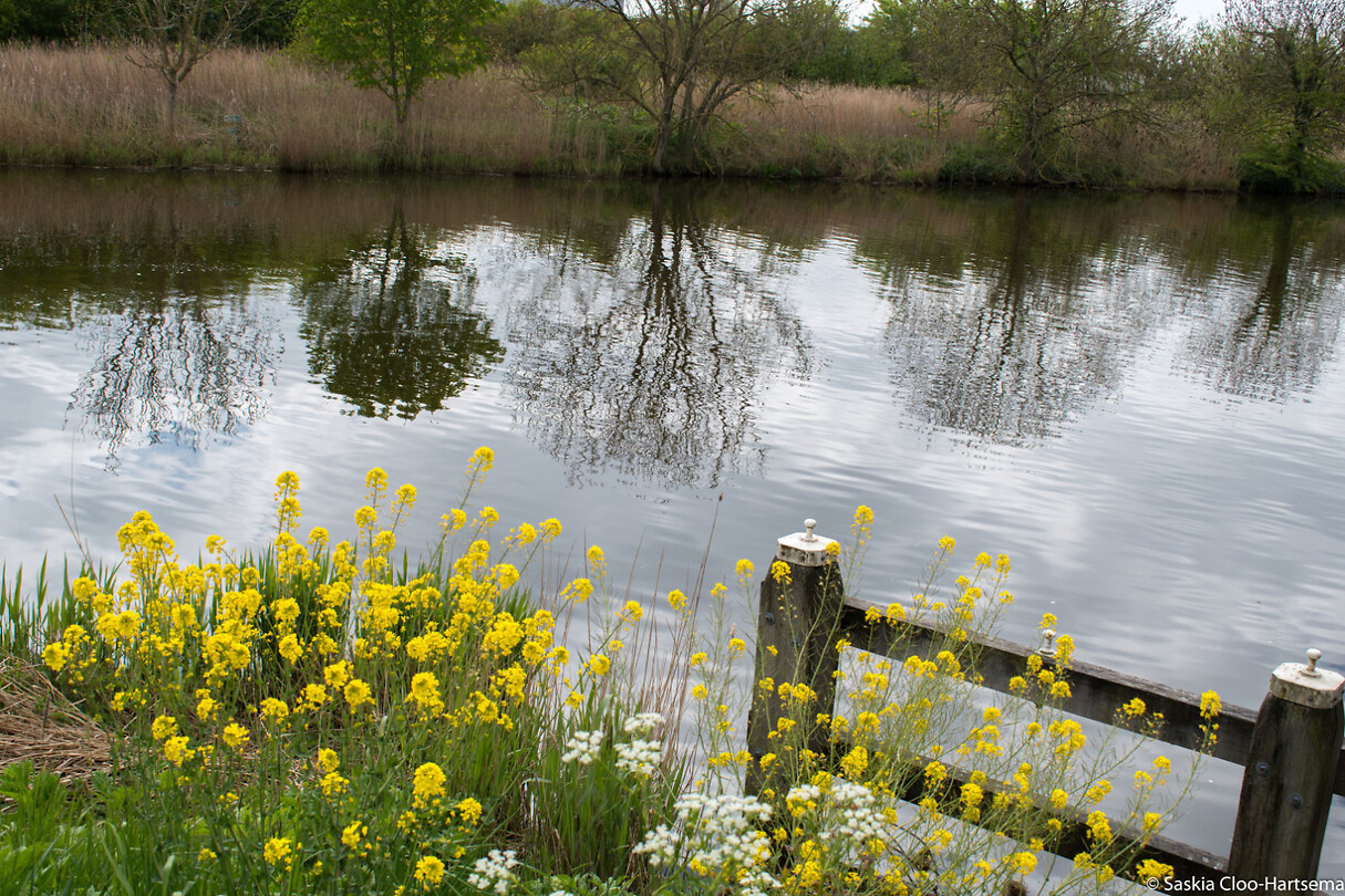 Farmsum Foto's | Reislogger