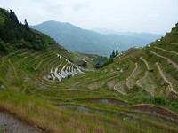ping an rijst teras