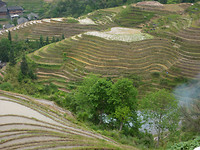 ping an rijst terras 2