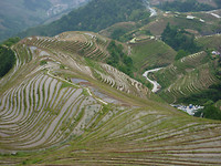 ping an rijst terras mooi