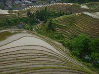 ping an rijst terras 1