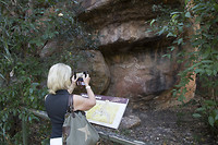 dag 15-rockart3