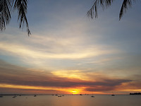 dag 15-darwin2