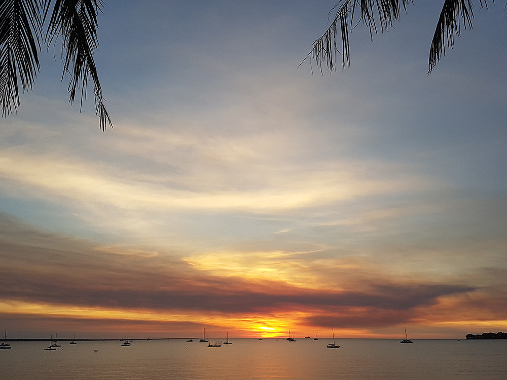 dag 15-darwin2