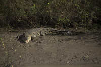 dag 16-jumpingcrocs3
