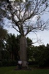 dag 16-botanischetuin2