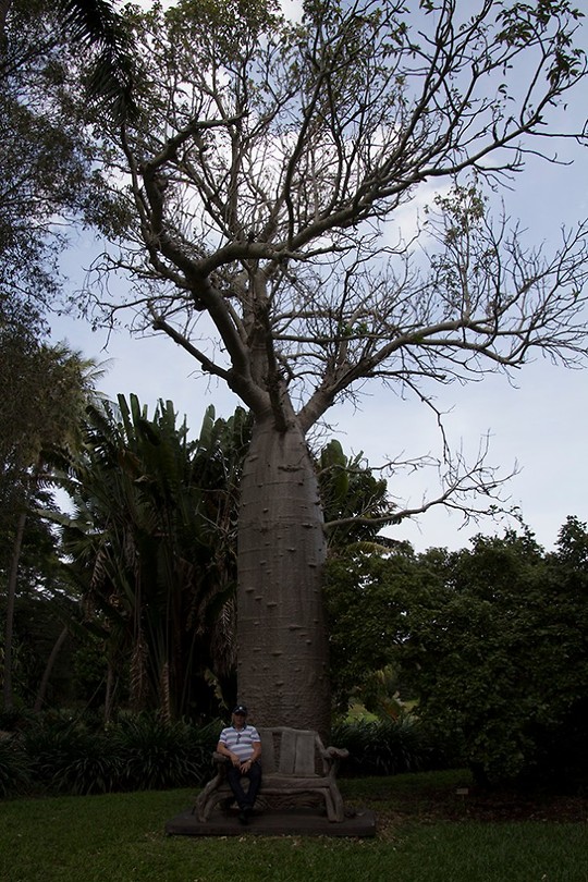 dag 16-botanischetuin2