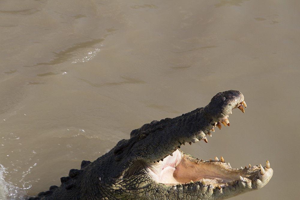 dag 16-jumpingcrocs6