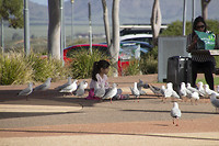 dag 24-portaugusta2