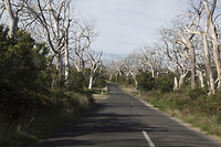 dag 27-onderweg1
