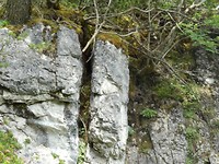 P7224683