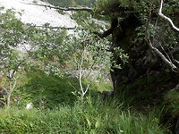 P7224692
