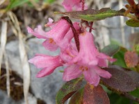 P7224710