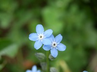 P7224713