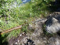 P7235015