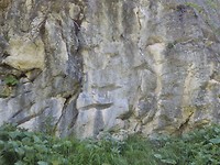 P7235017