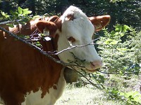 P7235024