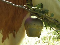 P7235025