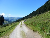 P7235077