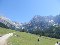 P7235082