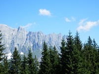 P7245185