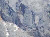 P7245192
