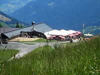 P7245214