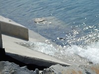 P7255383